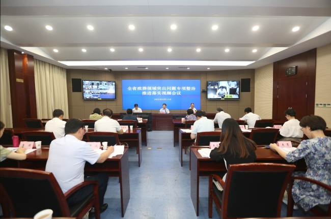 江苏省殡葬领域突出问题专项整治推进落实视频会议召开